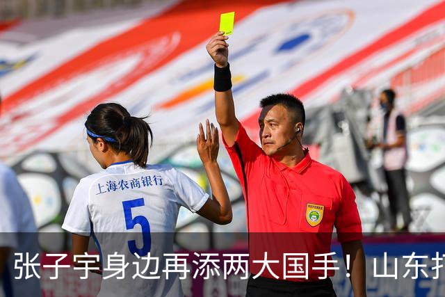 张子宇身边再添两大国手！山东打造豪华阵容，新赛季有望冲总冠军