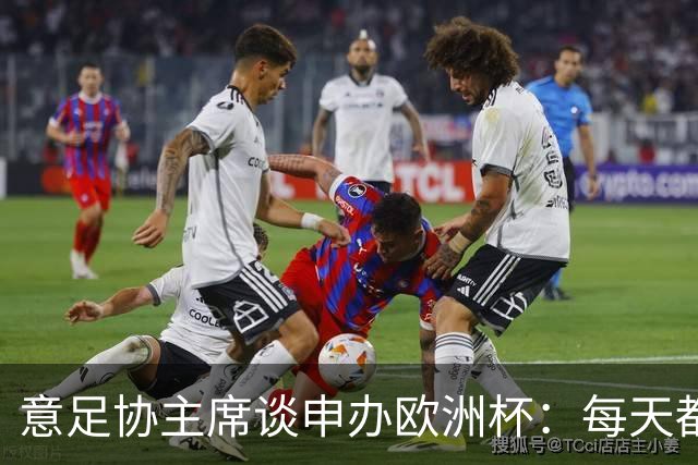 意足协主席谈申办欧洲杯：每天都跟欧足联联系，已确定城市和球场